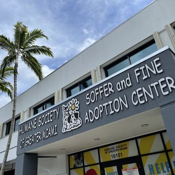 Soffer and Fine Adoption Center sign on a building with palm trees and blue sky.